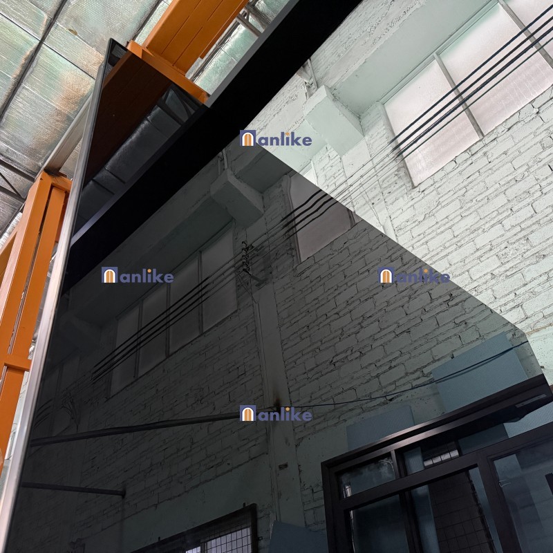 black tint glass panel door