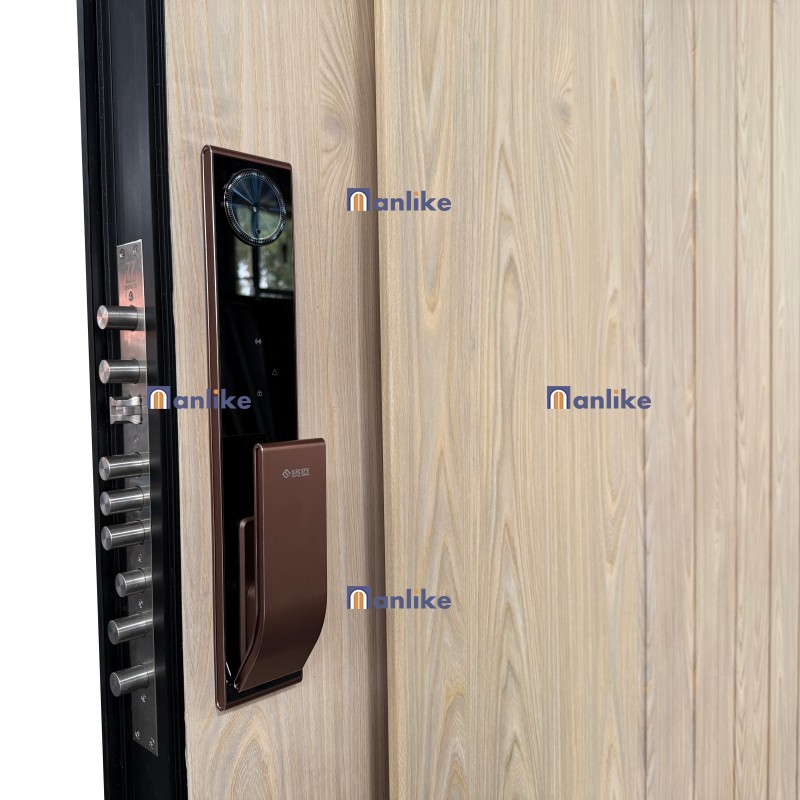 Safety Smart Lock Handle