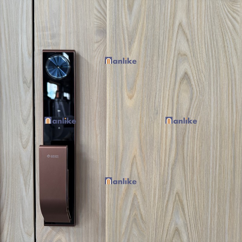 Golden Smart Lock